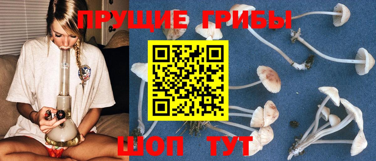 Галлюциногенные грибы Magic Shrooms Еманжелинск