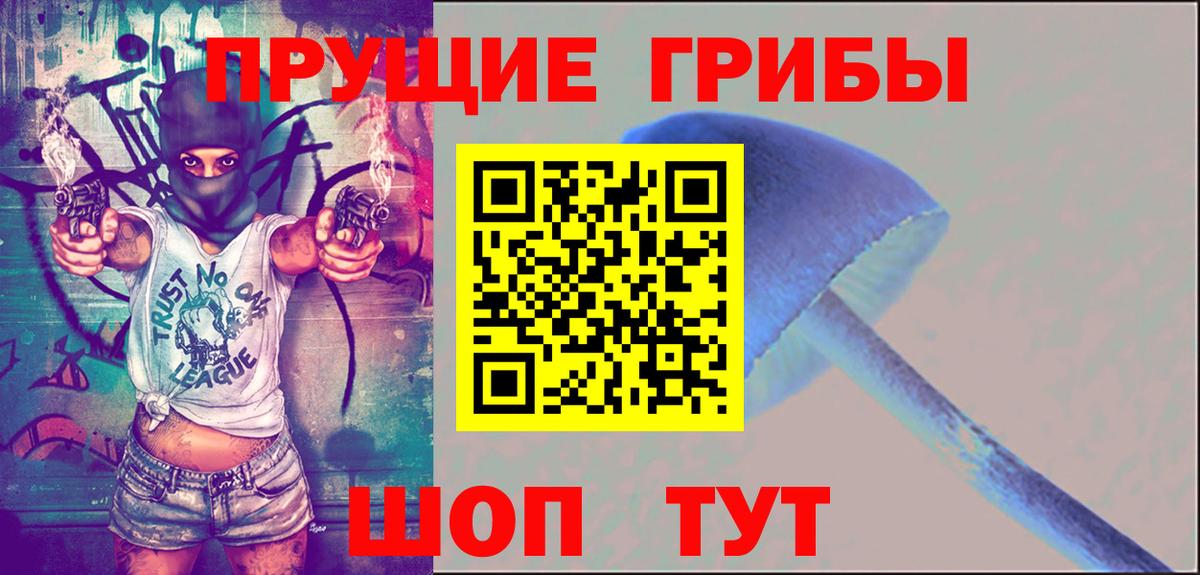 Галлюциногенные грибы прущие грибы  Вход с VPN  Еманжелинск 